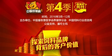 瑞安视频代理加盟全解析，如何轻松加盟，共创事业高峰？