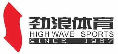 劲浪体育河南加盟指南，一步步引领你走向成功