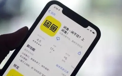 闲鱼免押额度详解，如何提现与提升额度的小妙招