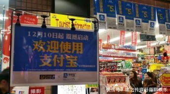 广州实体店轻松提现白条，购物无忧新体验！