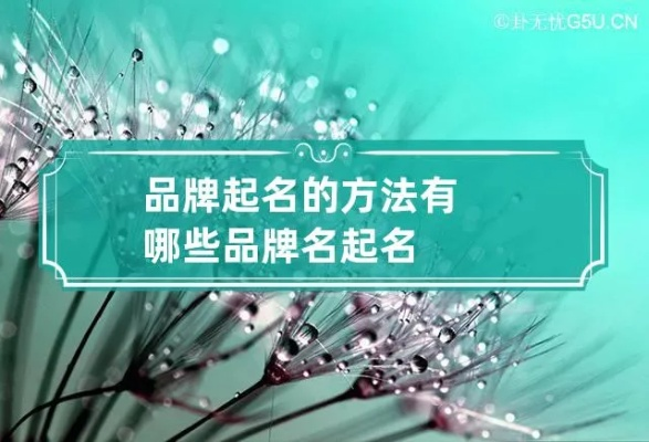 品牌名起名指南