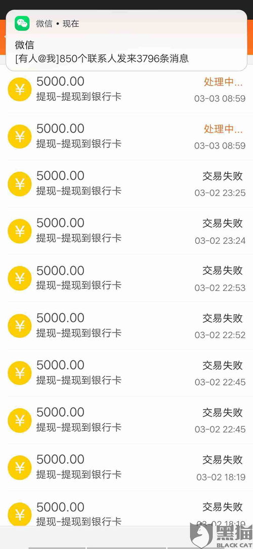 羊小咩便荔卡提现额度涨跌之谜，揭秘你的提现能力提升之道！