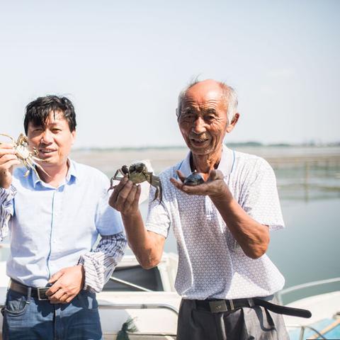 房子里适合养什么来致富—居家养殖致富指南
