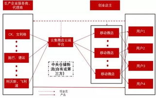 微店放心花最新套出来流程图详解，操作指南与案例分析