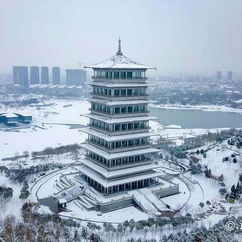 抖音月付提现，雪舞专业快速，让你的收益轻松到账！