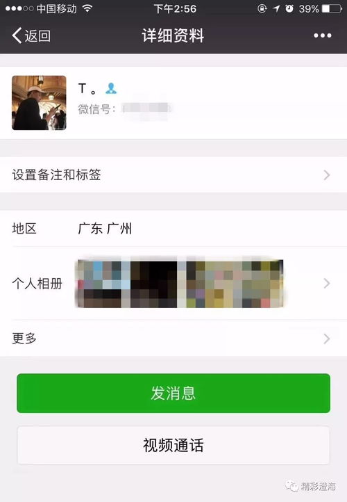 警惕网络陷阱，关于如何盗取别人微信聊天记录的真相与警示