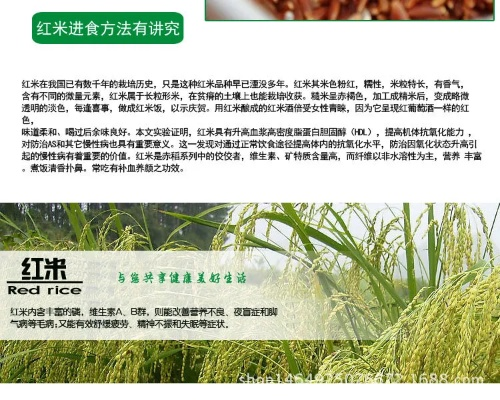 广西品牌红米厂家电话与案例解析