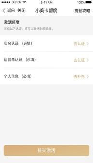 羊小咩便荔卡提现额度到账全攻略，揭秘到账位置及案例分享