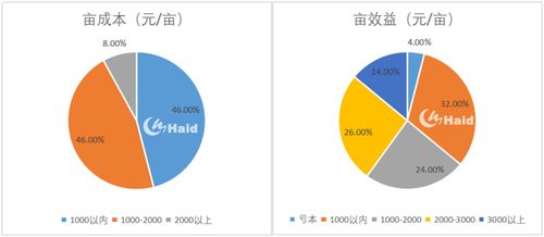 商品房的赚钱之道，多种途径与策略解析