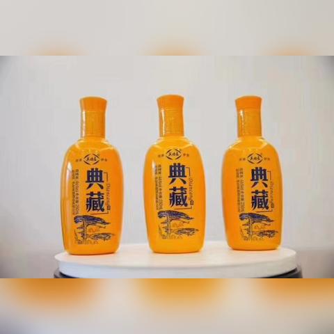 新疆做什么代理最好赚钱？深度解析与案例分享