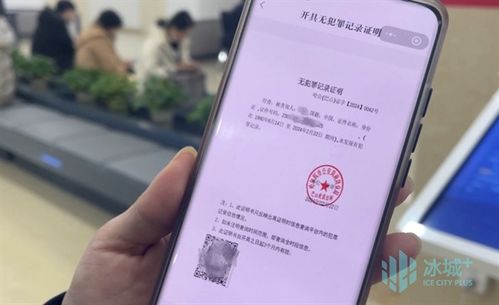 揭秘网络查证服务，查身份证开房记录的真相