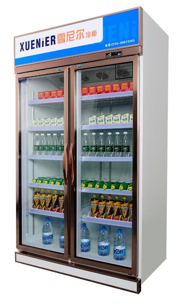 深圳户外冰柜品牌概览