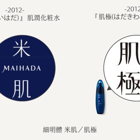 美国化妆品品牌logo设计案例分析