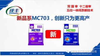 浙江易呗易货加盟全攻略，轻松上手，共创双赢未来！