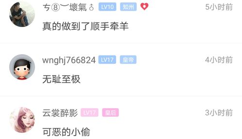 羊小咩便荔卡提现额度揭秘，知乎热议背后的真相与案例分享