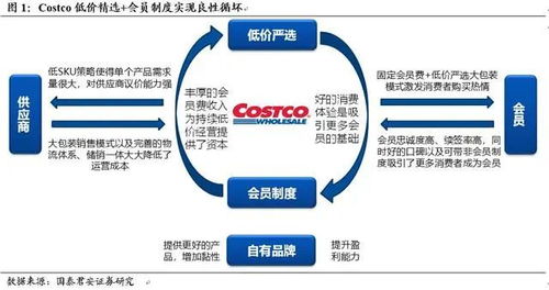 有人用分期乐套出来吗？深度解析背后的真相与风险
