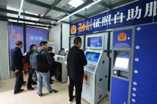 林州市微店放心花套，便捷服务与高效运营的公司实践