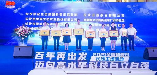 政府换国产电脑品牌，迈向科技自立自强之路