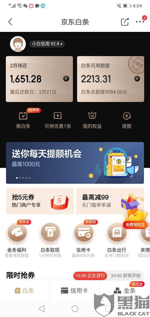 广州周边提现京东白条攻略，轻松搞定资金周转！