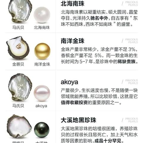 汽车品牌等级排名，从入门到豪华的全方位解析