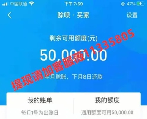 支付宝诚e赊300额度提现全攻略，手把手教你操作，看明白就能提！