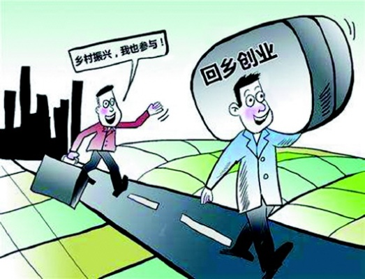 哪些人会选择回乡创业？