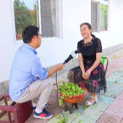 大平房做什么生意赚钱？这些商机你绝对不能错过！