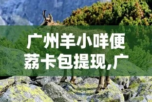 广州美宜家羊小咩便荔卡提现攻略，轻松变现，享受生活！
