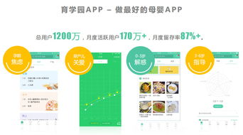 母婴品牌化，创新与市场的双重奏