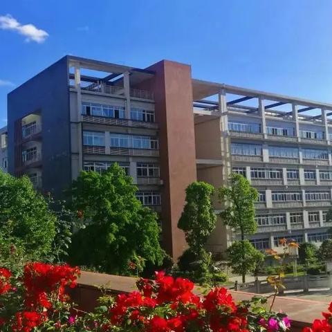 打造重庆医药品牌，提升市场竞争力