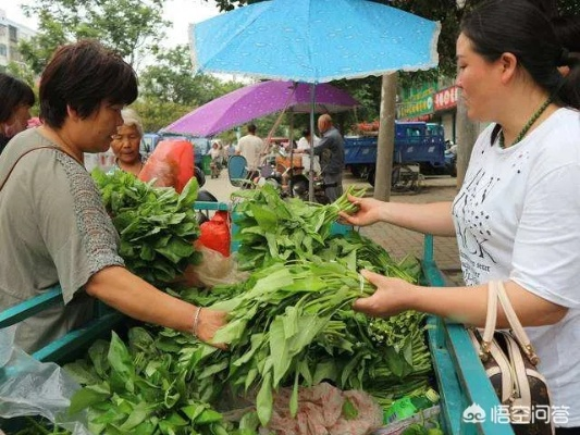 早晨卖菜什么生意最赚钱？详解与案例剖析