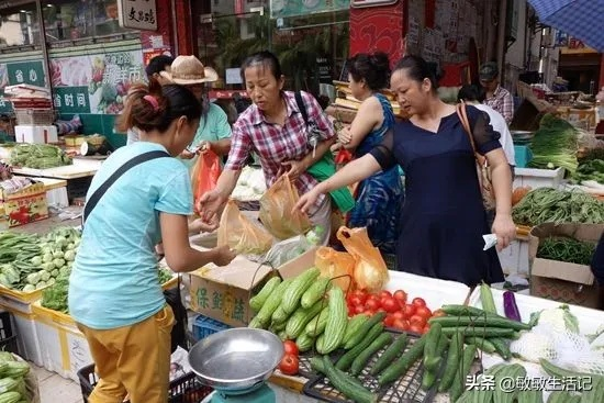 早晨卖菜什么生意最赚钱？详解与案例剖析
