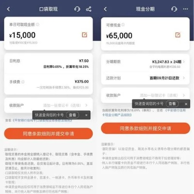 专享分期额度提现到银行卡的详细指南—让你轻松掌握操作步骤与注意事项