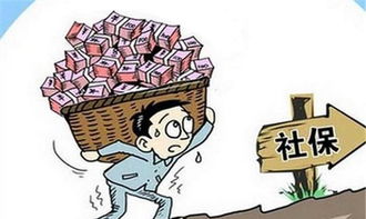 医保取现合算时机解析，何时取现最适宜？