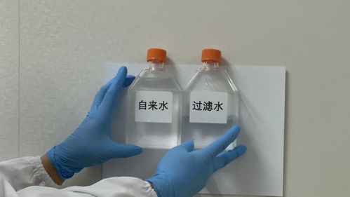 揭秘明星产品背后的魔力