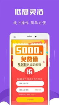 微店放心花24小时借款服务详解，套出金额与案例解析