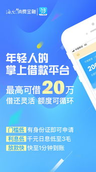 微店放心花24小时借款服务详解，套出金额与案例解析