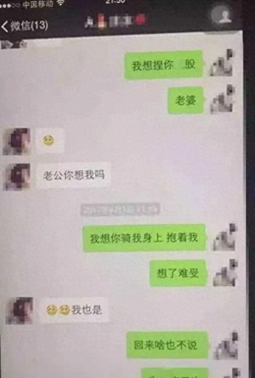 揭秘夫妻间的秘密对话，如何老婆和情人聊天记录