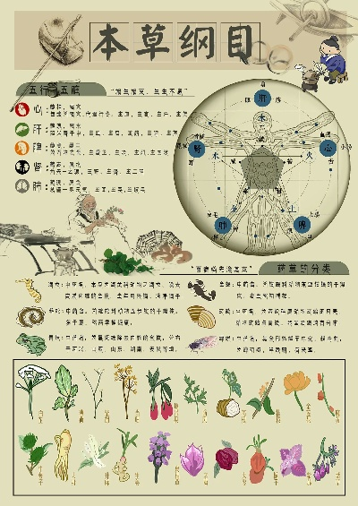 本草纲目服饰加盟指南，一起探索加盟的奥秘