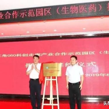 医药品牌资产构成与案例解析
