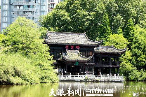 户外品牌茶几排名，您的户外休闲好伙伴