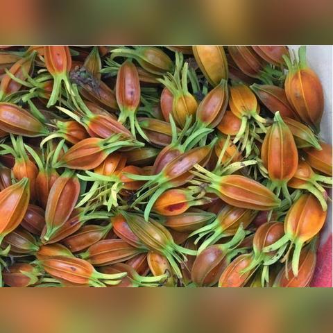 皇家品牌化妆品，奢华与品质的完美结合
