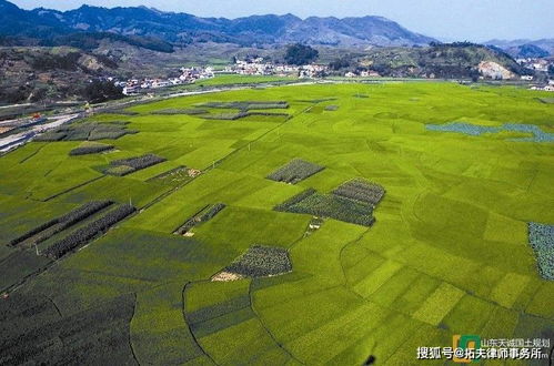 平原种什么才能致富，深度解析与案例分享
