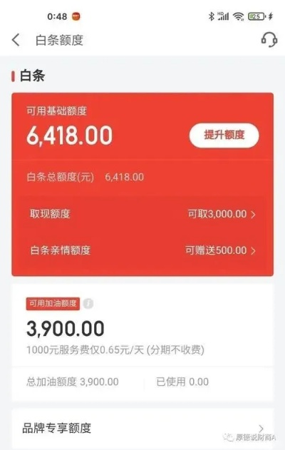 揭秘广州京东白条提现套利攻略，如何安全高效地套出来