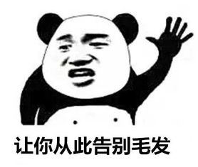品牌大盘点，从专业到日常，你值得拥有的装备