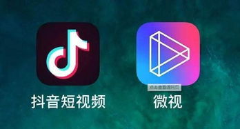 揭秘蔡甸抖音月付提现加盟，轻松月入过万，你也能成为赚钱达人！