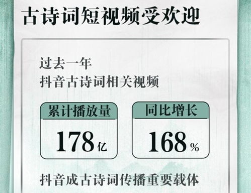 揭秘抖音月付提现那些事儿，协议费详解及案例分析