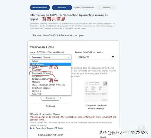 过关酒店订单怎么查记录？详细步骤与案例解析