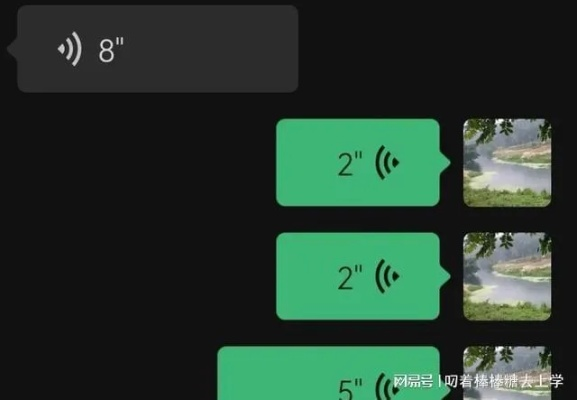 揭秘微信语音聊天记录查询，方法、技巧与注意事项
