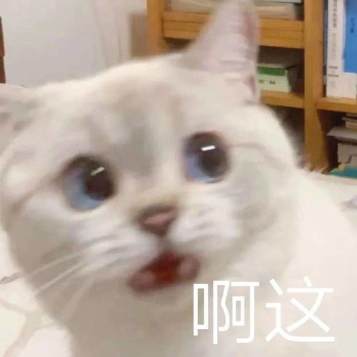 羊小咩便荔卡提现解封时间揭秘，多久能恢复正常？